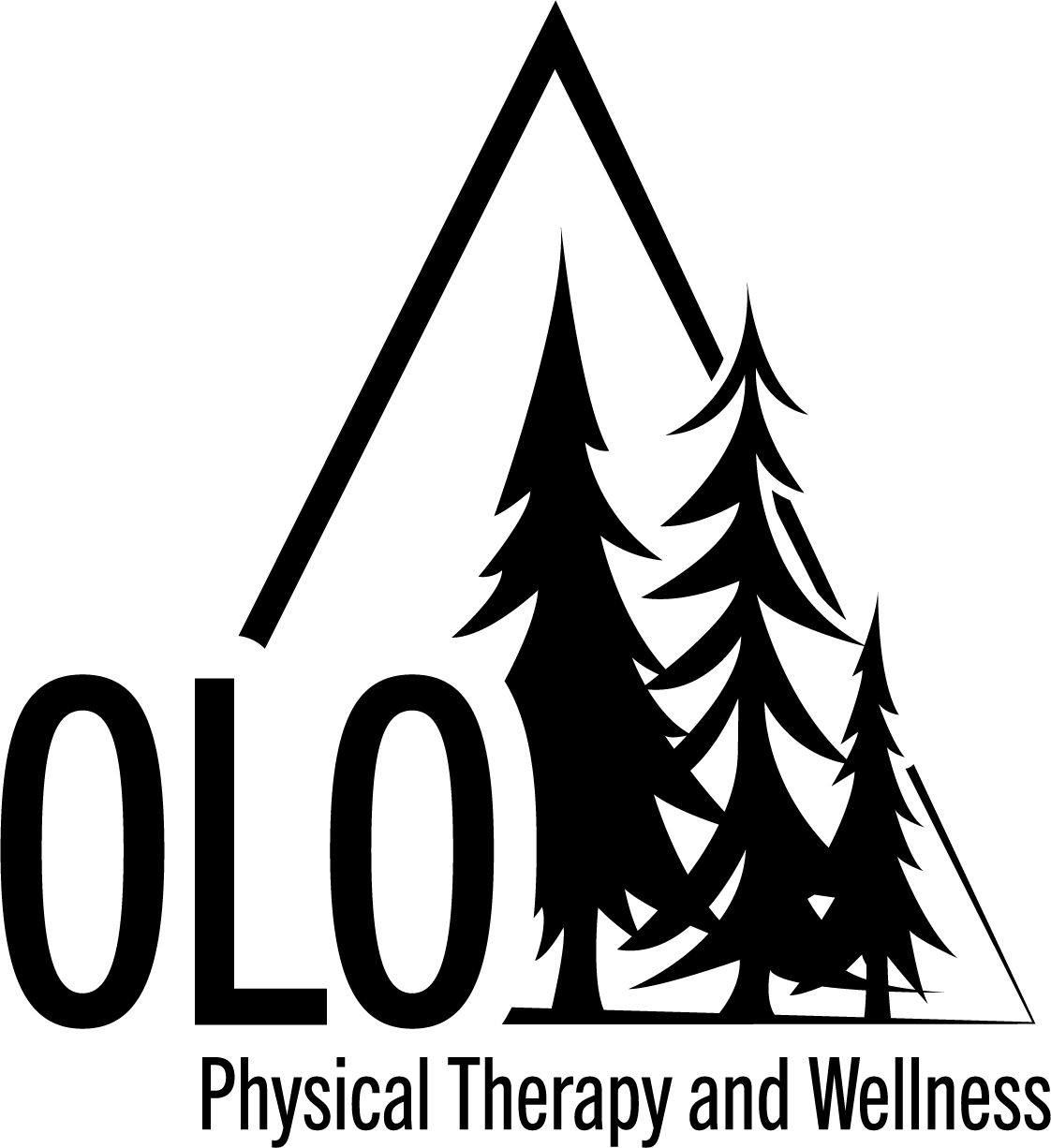 OLO Physical Therapy and Wellness